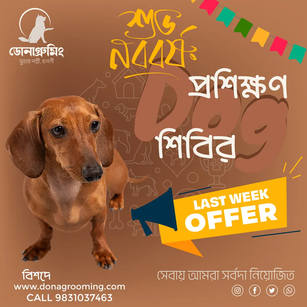 Bengali Banner Design