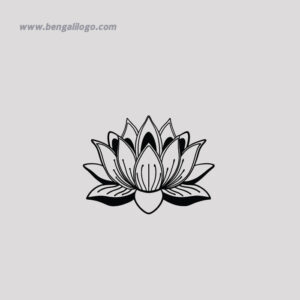 Lotus Collection