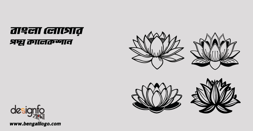 Lotus Collection
