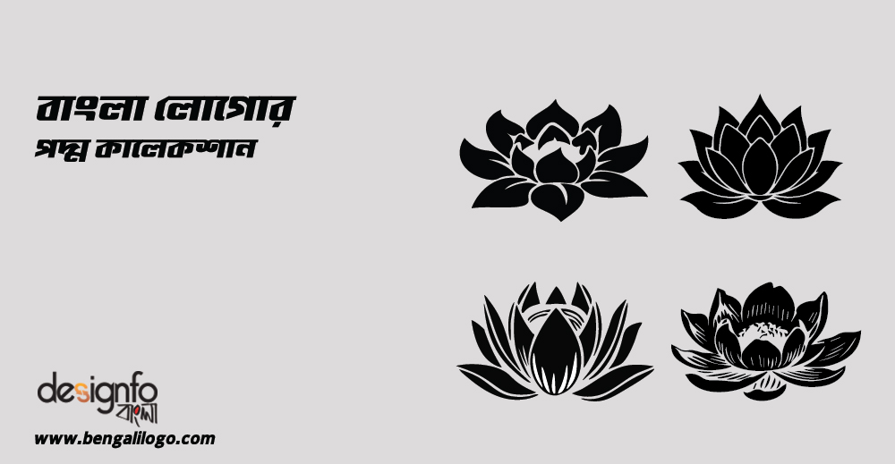 Lotus Collection