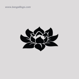 Lotus Collection