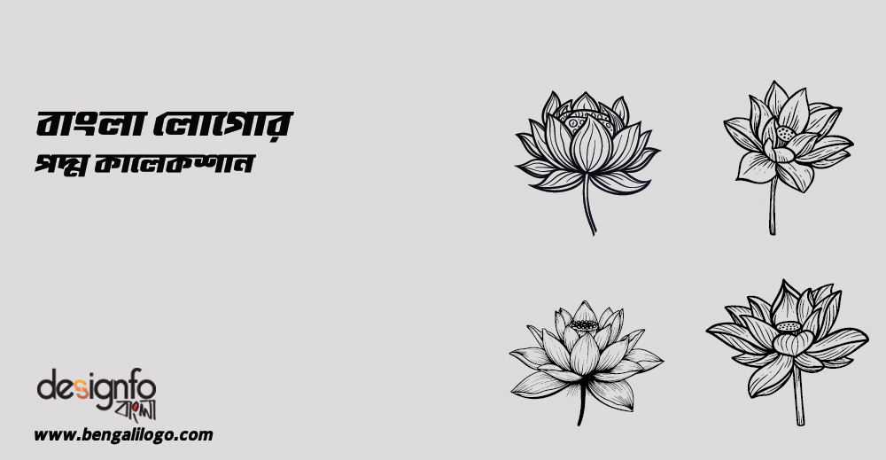 Lotus Collection