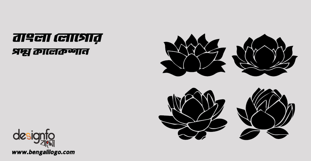 Lotus Collection